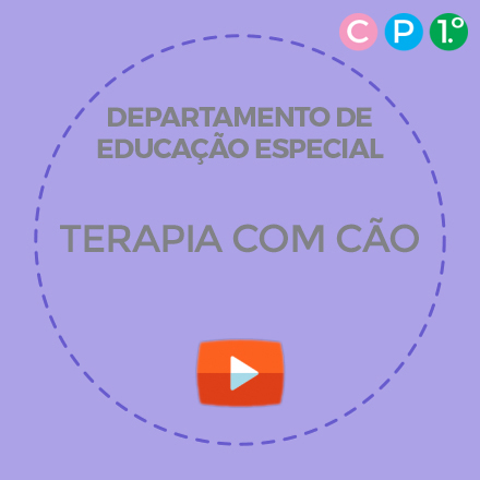 dee-terapia-com-cao